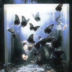 勤勤恳恳赶稿人