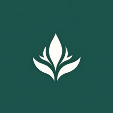 绿启星尘