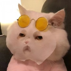 EDofSuwF