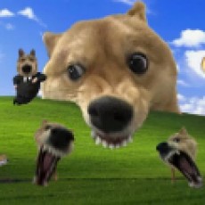 EdrawMax user profile image