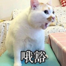 EDKyIIue