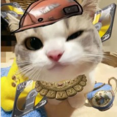 李余希Yison