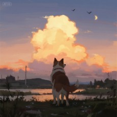 与你无关