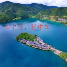 强势文化