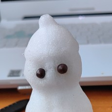 小纳