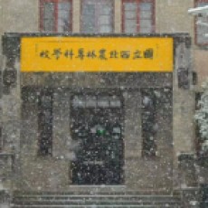 EDzomJUA
