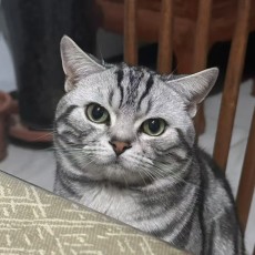 Theodore
