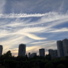记得早睡