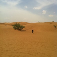 EdrawMax user profile image