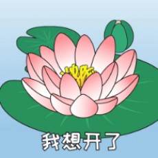 祖国的花朵