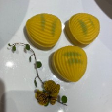 期之夭夭灼灼其华