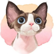 EdrawMax user profile image