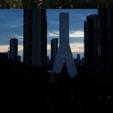 逆转录酶