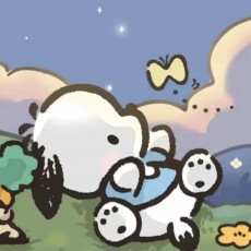 伽伽