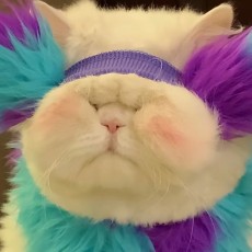 云