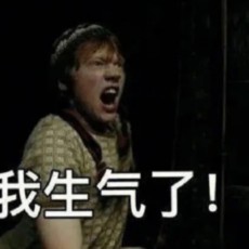 窝是哈迷有没有同道中人呀