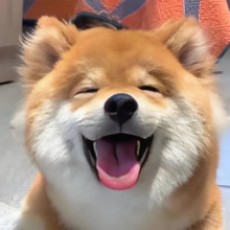 方知也