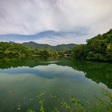 在水一方