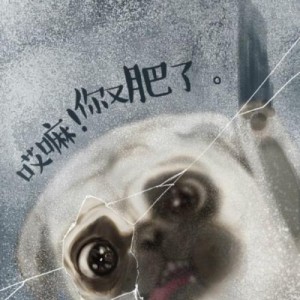有无