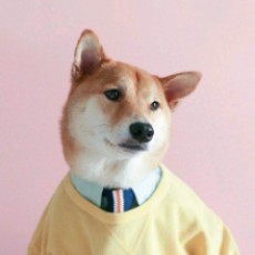 攀登