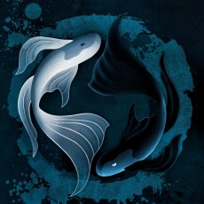 佴沐