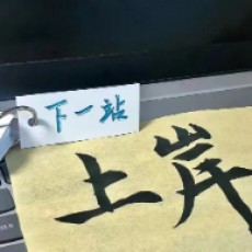 九蝎子01