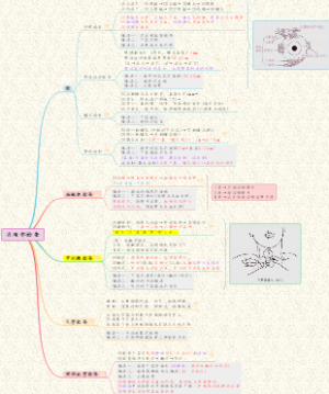 【执医技能】03体格检查-头颈部检查