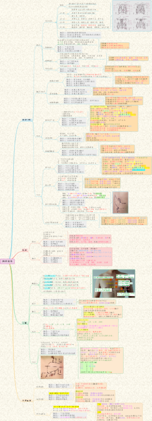 【执医技能】03体格检查-胸部检查