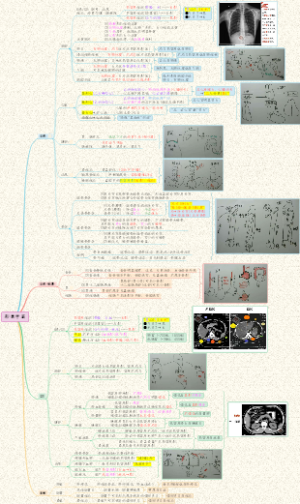 【执医技能】07影像学篇