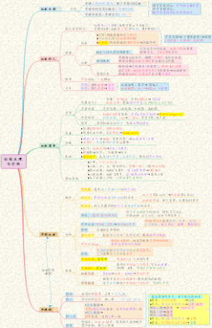 【妇科】02妊娠-妊娠生理与诊断