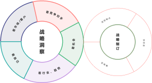 战略洞察