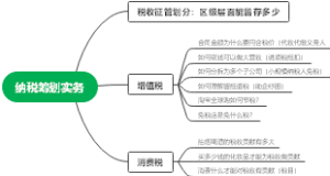 纳税筹划实务