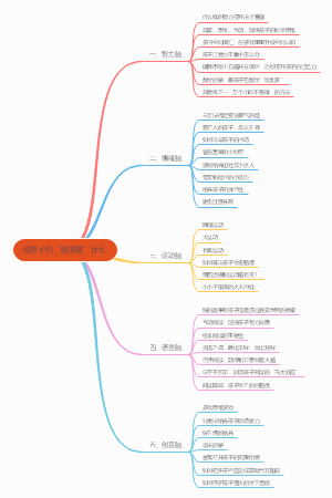 给孩子的脑发展计划