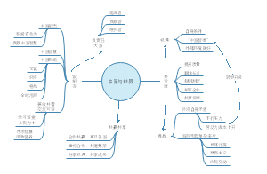 道德与法治九年级下册第二单元《世界舞台上的中国》思维导图