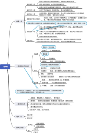 第二章：上皮组织