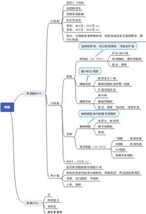 第五章：血液