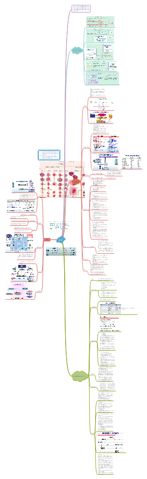 贫血性疾病思维导图图片