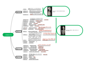 人体神经四大开关
