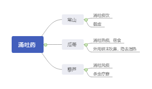 执业药师中药二：涌吐药