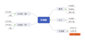 执业药师中药二：开窍药