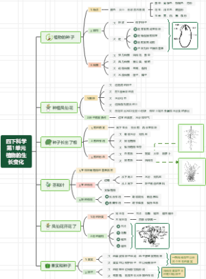 四年级下册科学第1单元 植物的生长变化