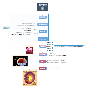 高中生物-胚胎早期发育 全过程