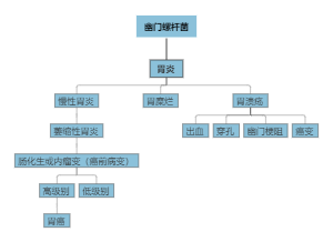 幽门螺杆菌