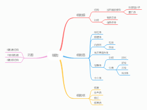 组胚 第2章 细胞