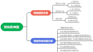 双抗的类型