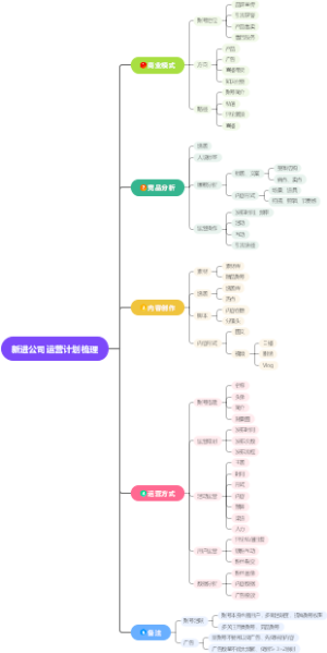 新进公司运营计划梳理