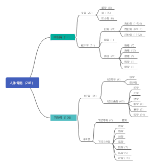 人体骨骼知识导图