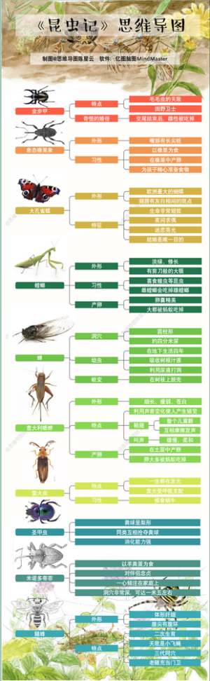 世界儿童科普名著《昆虫记》