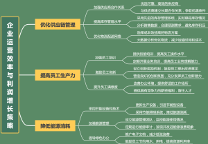 企业运营效率与利润增长策略