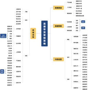 直播带货营销策略